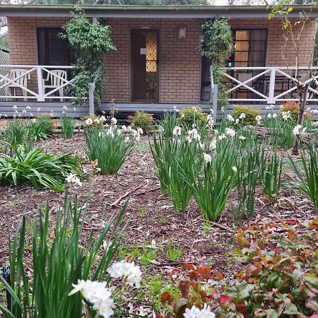 Barossa Country Cottages Lyndoch Bagian luar foto